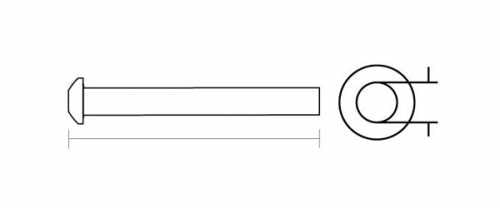 Ear Tube