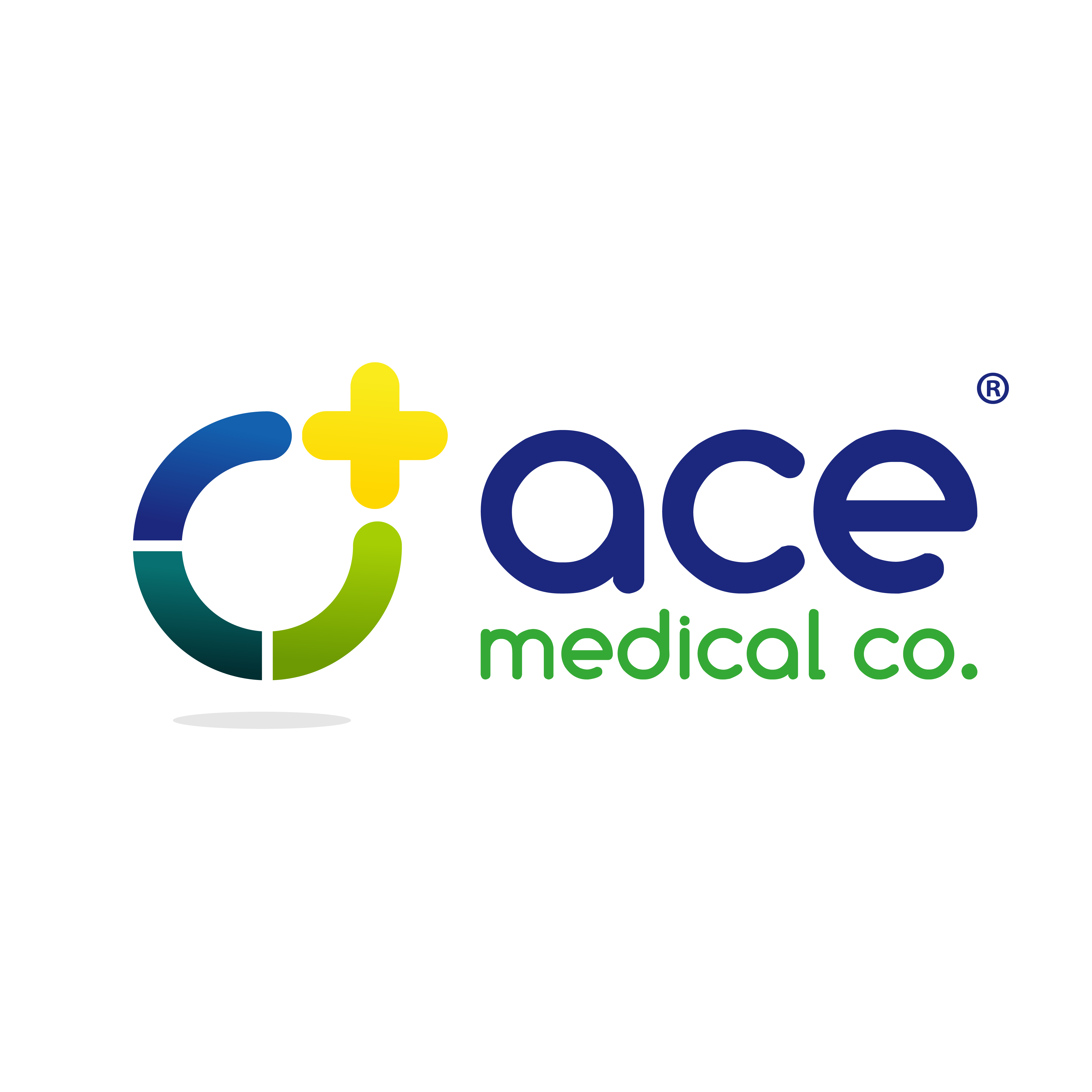Online Surgical Sales at ACE Medical Company